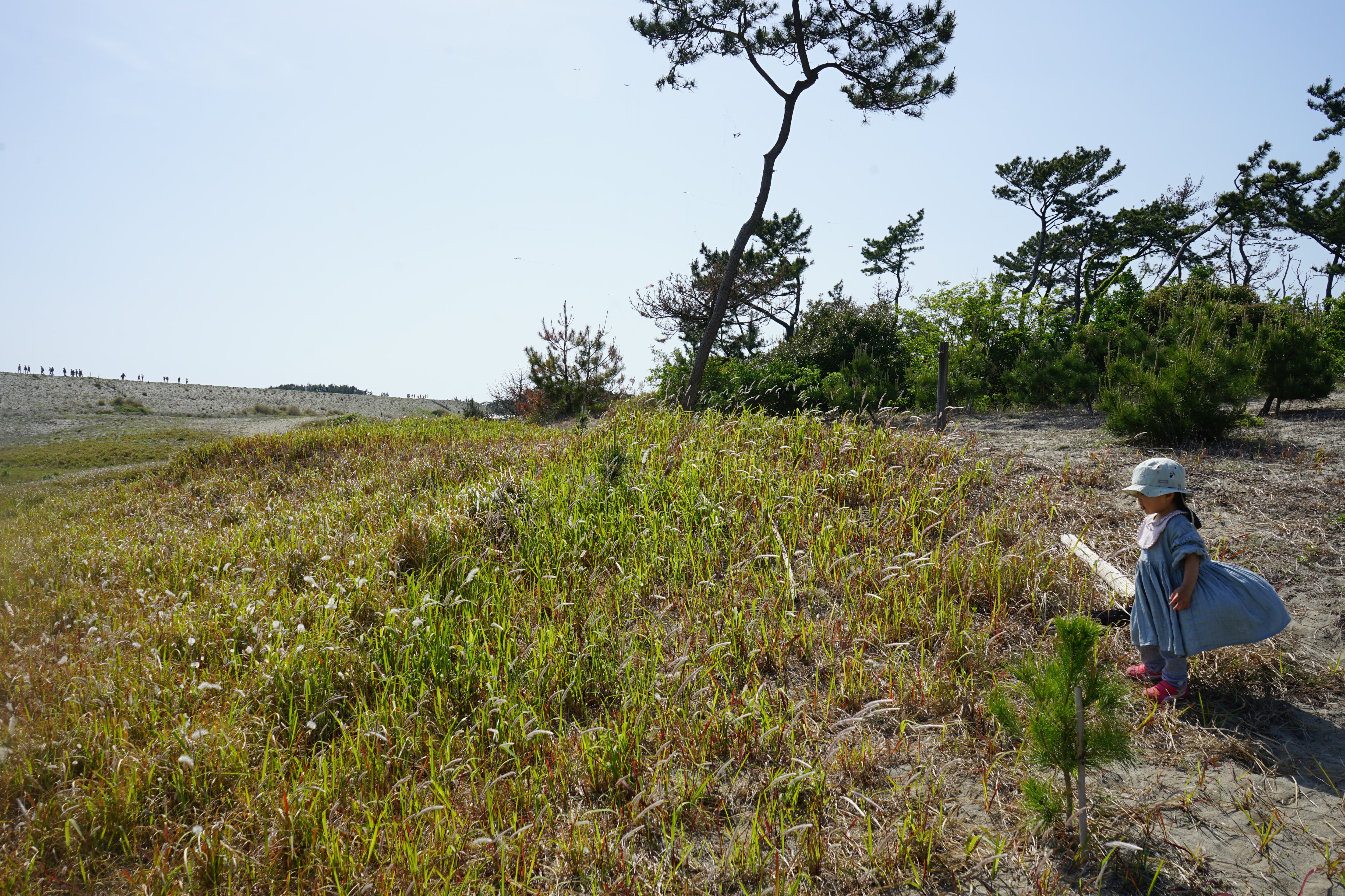 ドリップバッグ (コスタリカ)