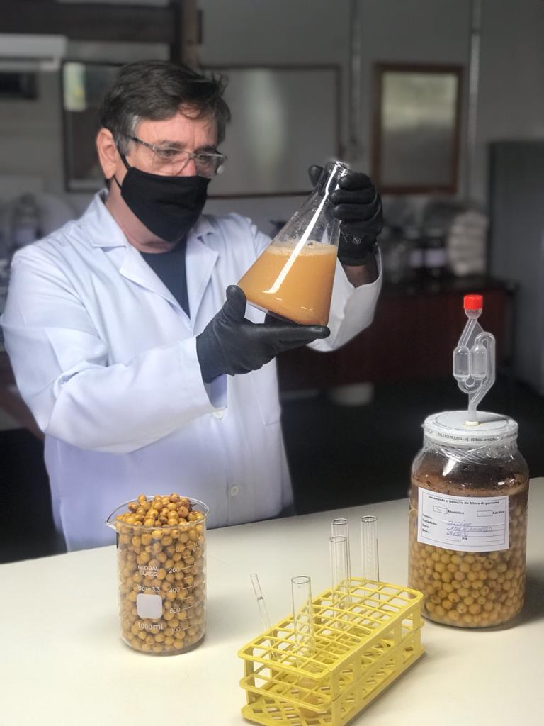 【ブラジルコンテスト準優勝】Brazil Guariroba Fruity Lot