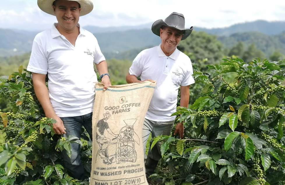【ミルクとの調和が素晴らしい!】コロンビア ロス・ノガレス農園