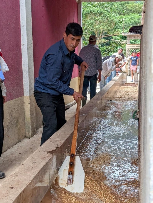 ドリップバッグ7個入り（BLEND）