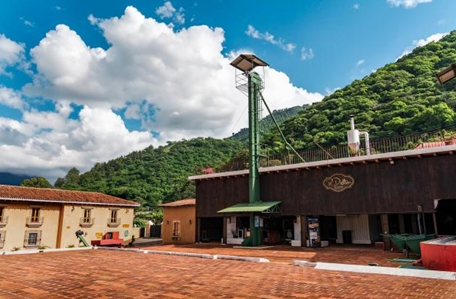 【中深煎り】グアテマラ　Guatemala Finca Filadelfia