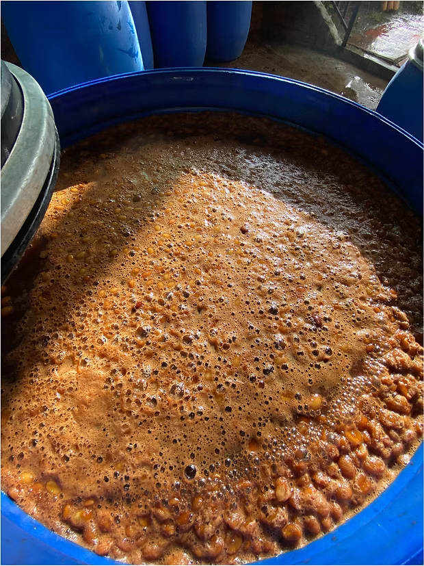 【ミルクとの調和が素晴らしい！】コロンビア ロス・ノガレス農園