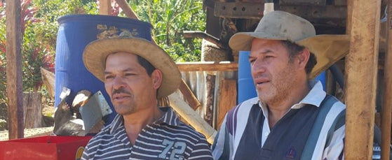 【中浅煎り】コスタリカ　COSTA RICA ～LOS CUARTELES